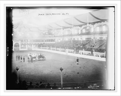Horse Show, Madison Sq.