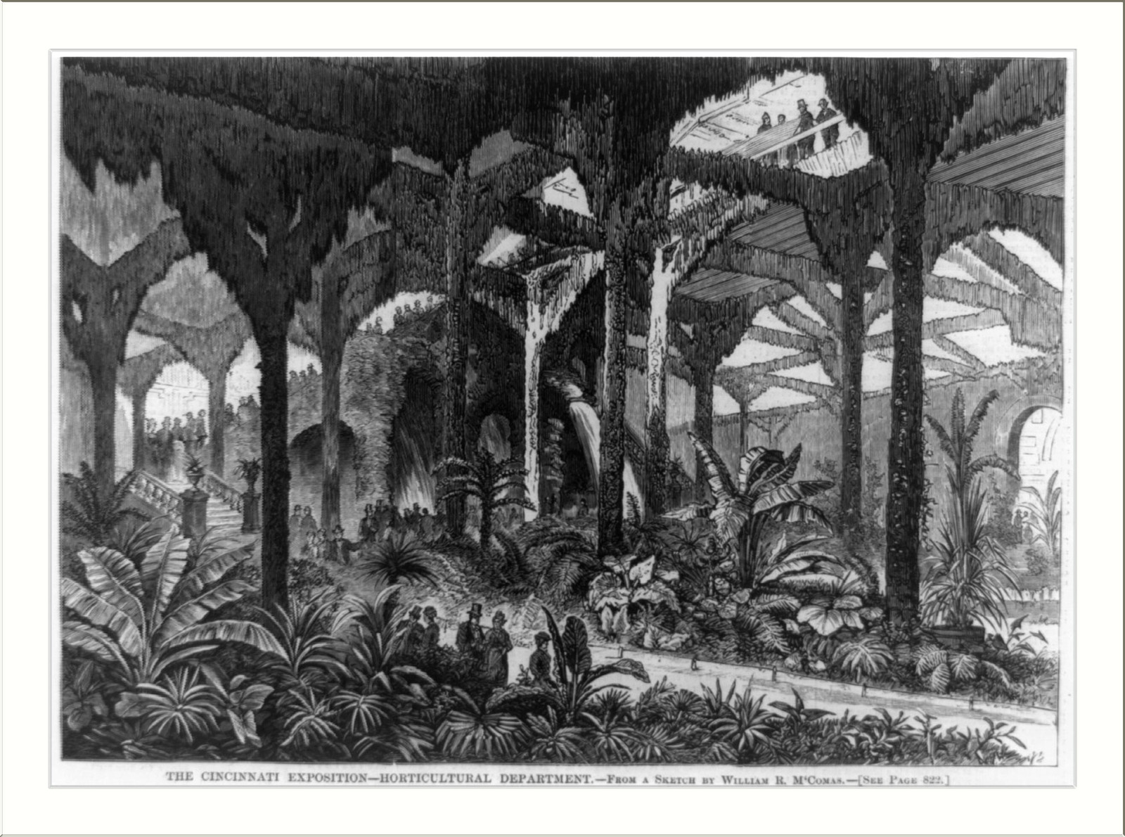 The Cincinnati Exposition - Horticulture Deparmtent, 1874 — antique engraving