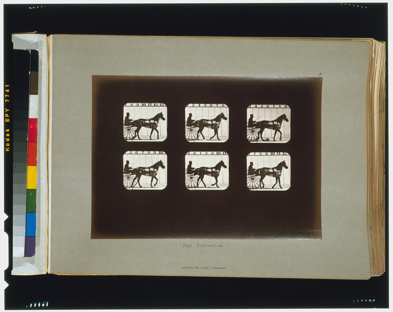 Horses. Walking, [San Francisco] : Muybridge, c1881. — historic photograph