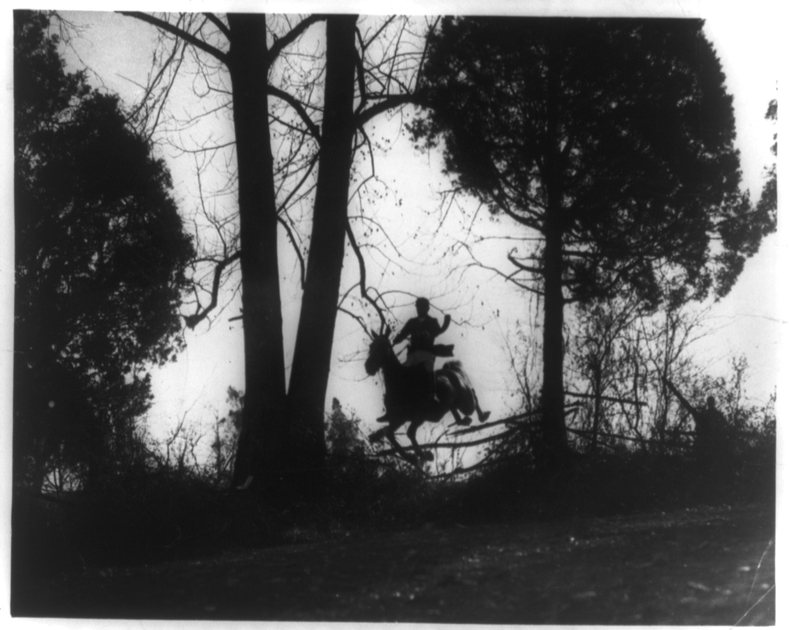 [Man on horse jumping fence in fox hunt in Virginia], [between 1909 and 1932] — historic photograph
