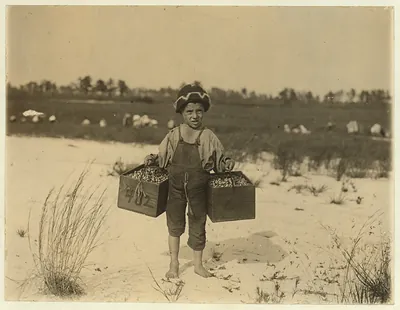 Salvin Nocito, 5 years old, carries 2 pecks of cranberries for long distance to the "bushel-man." Whites Bog, Browns Mills, N.J. Sept. 28, 1910. Witness E. F. Brown. Location: Browns Mills, New Jersey / Photo by Lewis W. Hine.
