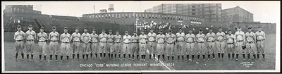 Chicago Cubs Baseball Team, Illinois, 1929