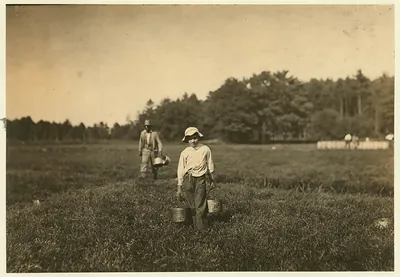 Dante Fava. Said 10 years old. Carries and picks cranberries. Lives in Pierceville, Mass. Location: Rochester [vicinity] Eldridge Bog, Massachusetts.