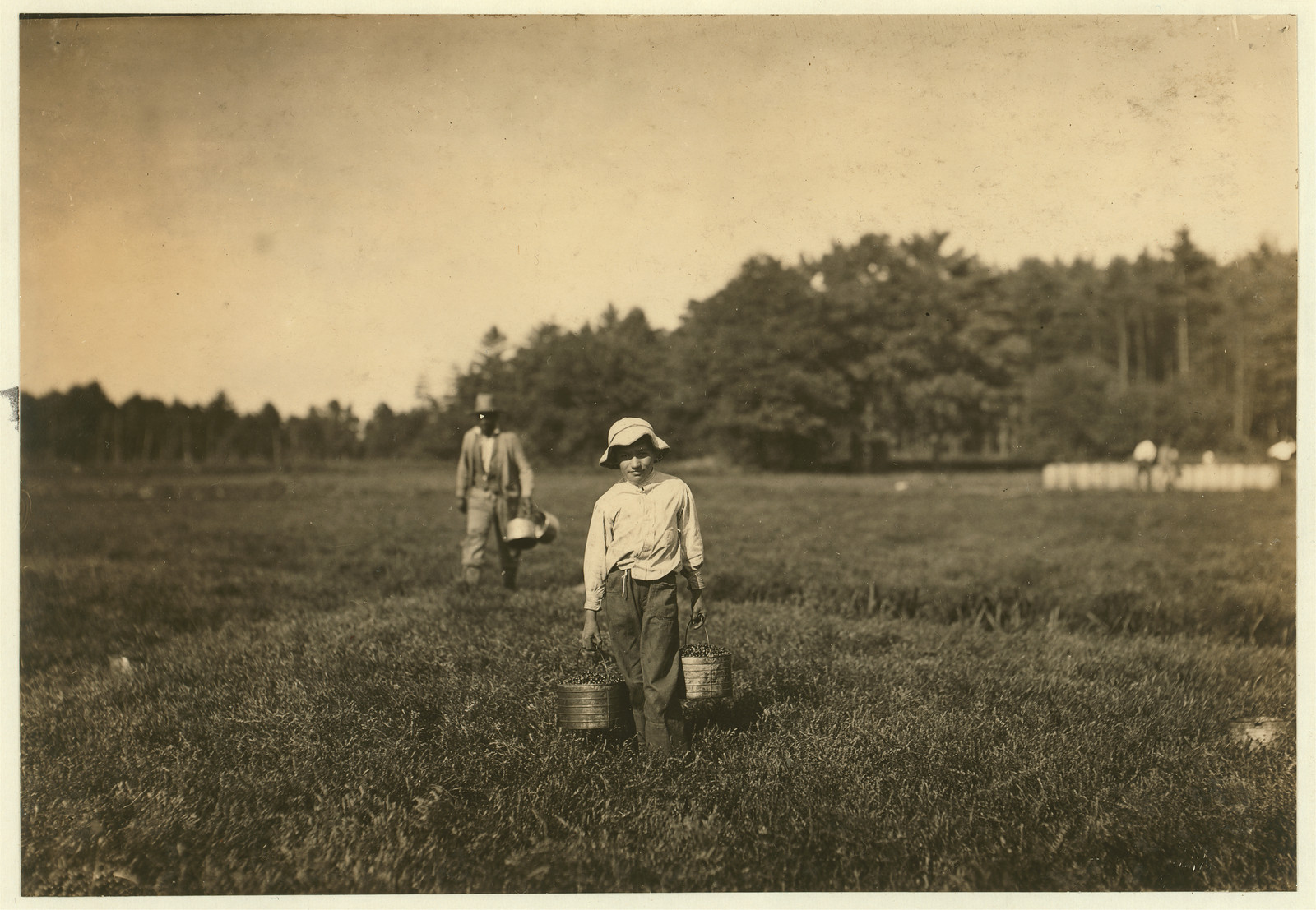 Dante Fava. Said 10 years old. Carries and picks cranberries. Lives in Pierceville, Mass. Location: Rochester [vicinity] Eldridge Bog, Massachusetts., 1911 September. — historic image