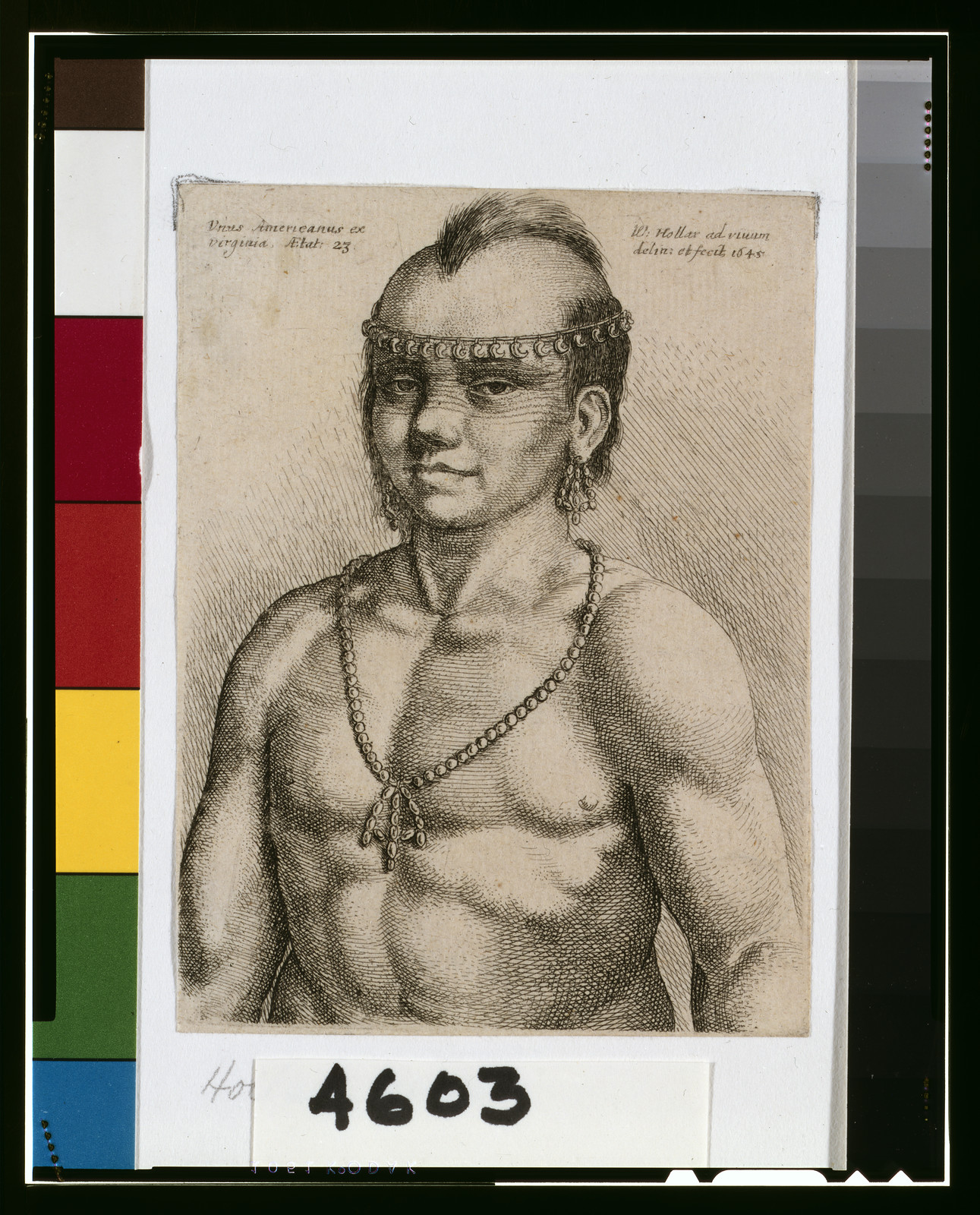 Unus Americanus ex Virginia. Aetat 23 / W. Hollar ad vivum delin. et fecit. — historic print