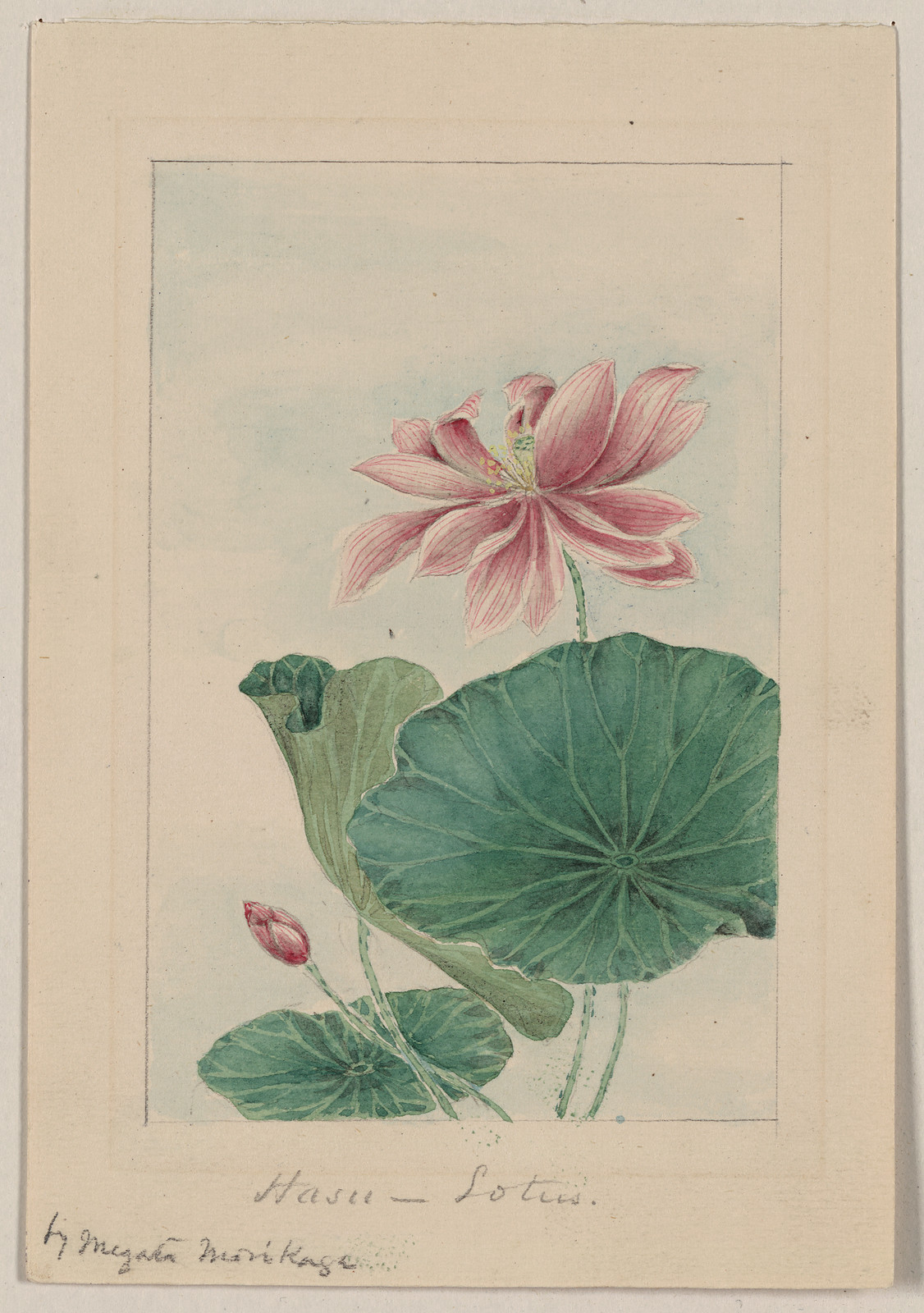 [Japanese drawing], 1750 — historic drawing