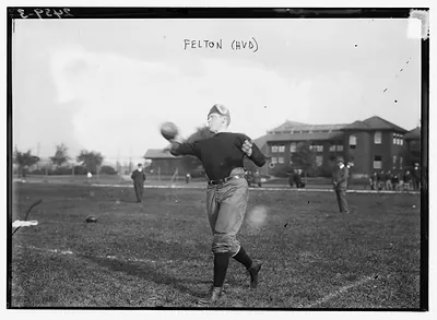 Gardner and Felton, Harvard