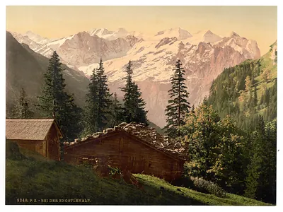 Engstlenalp (a near view) Unterwald Switzerland