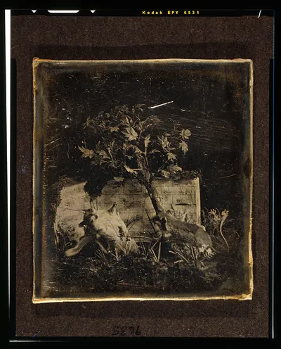 [Still life with tree and two small, stuffed mammals]