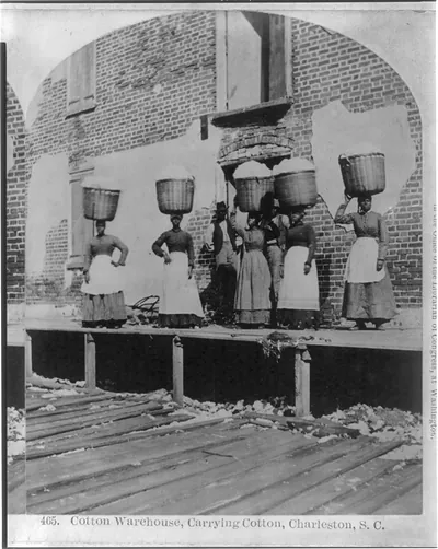 [African Americans working, Charleston, S.C.: Cotton warehouse, carrying cotton]