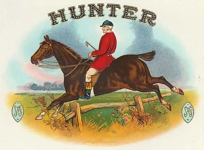 HUNTER cigar box label, rider in red coat jumping fence