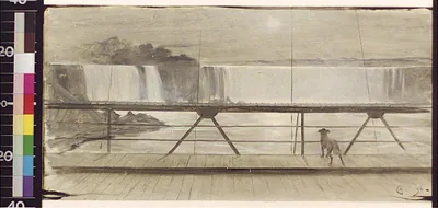 The falls from Suspension Bridge / A.C.