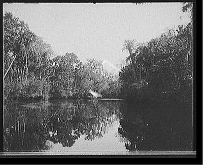 [On the Tomoka River, Ormond, Fla.]