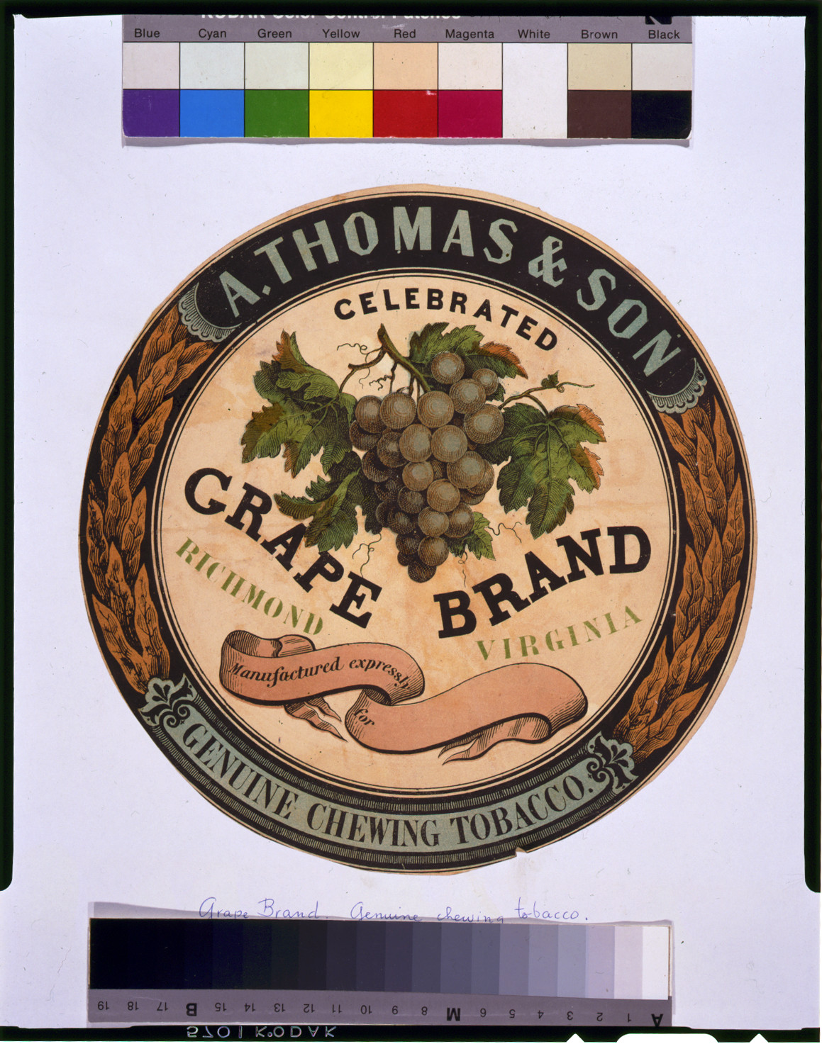 A. Thomas & Son celebrated grape brand genuine chewing tobacco, [between 1860 and 1880] — antique lithograph