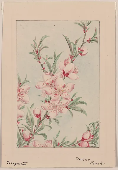 [Japanese drawing]