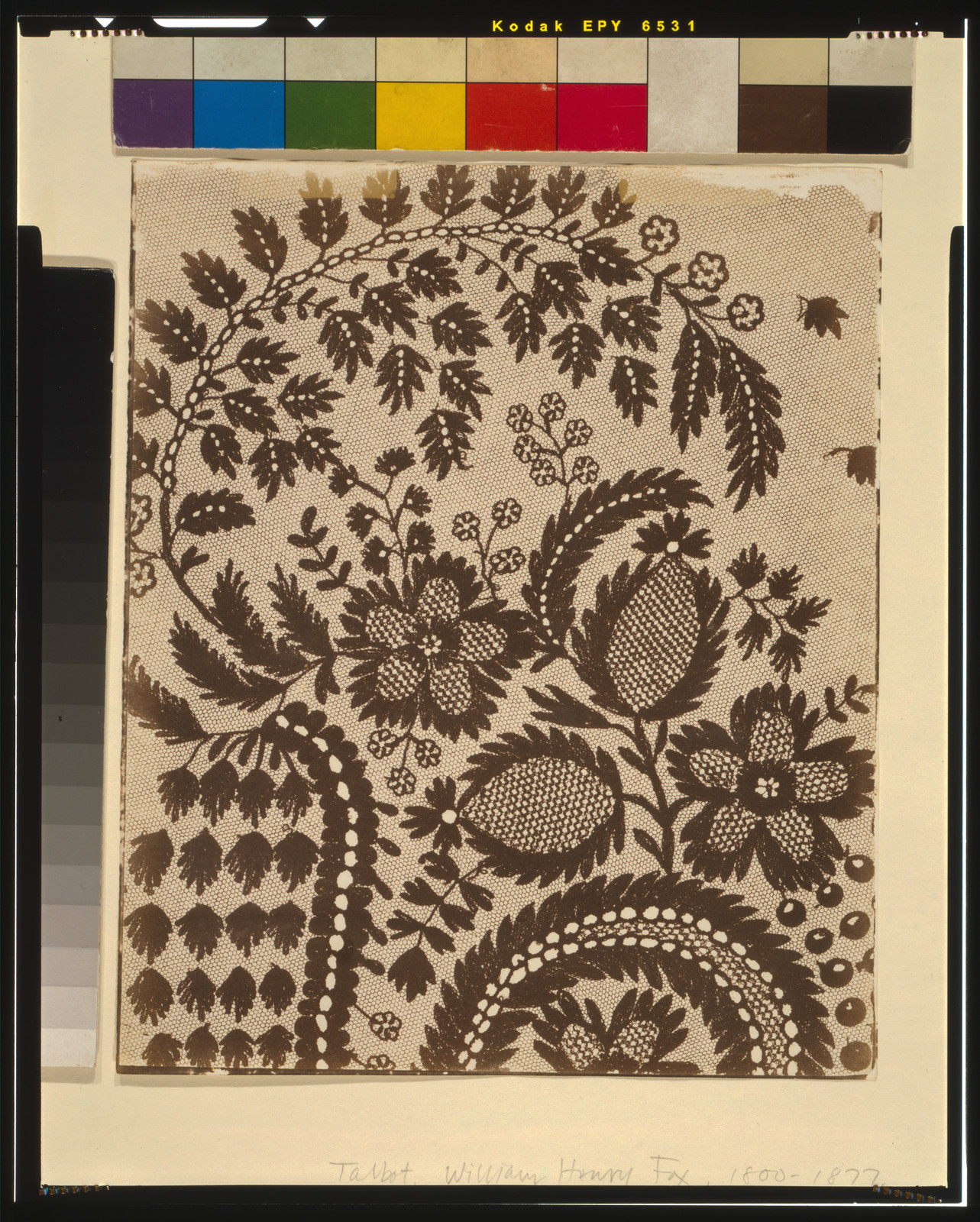 [Lace], [1842] — historic photograph