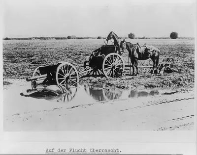 [Two horses and a 75mm gun and limber left behind by fleeing Polish soldiers]