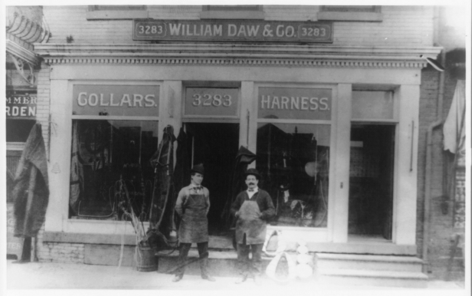 William Daw & Co., [between 1870 and 1910] — historic photograph