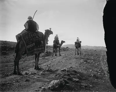 Camel riders on a rocky desert track