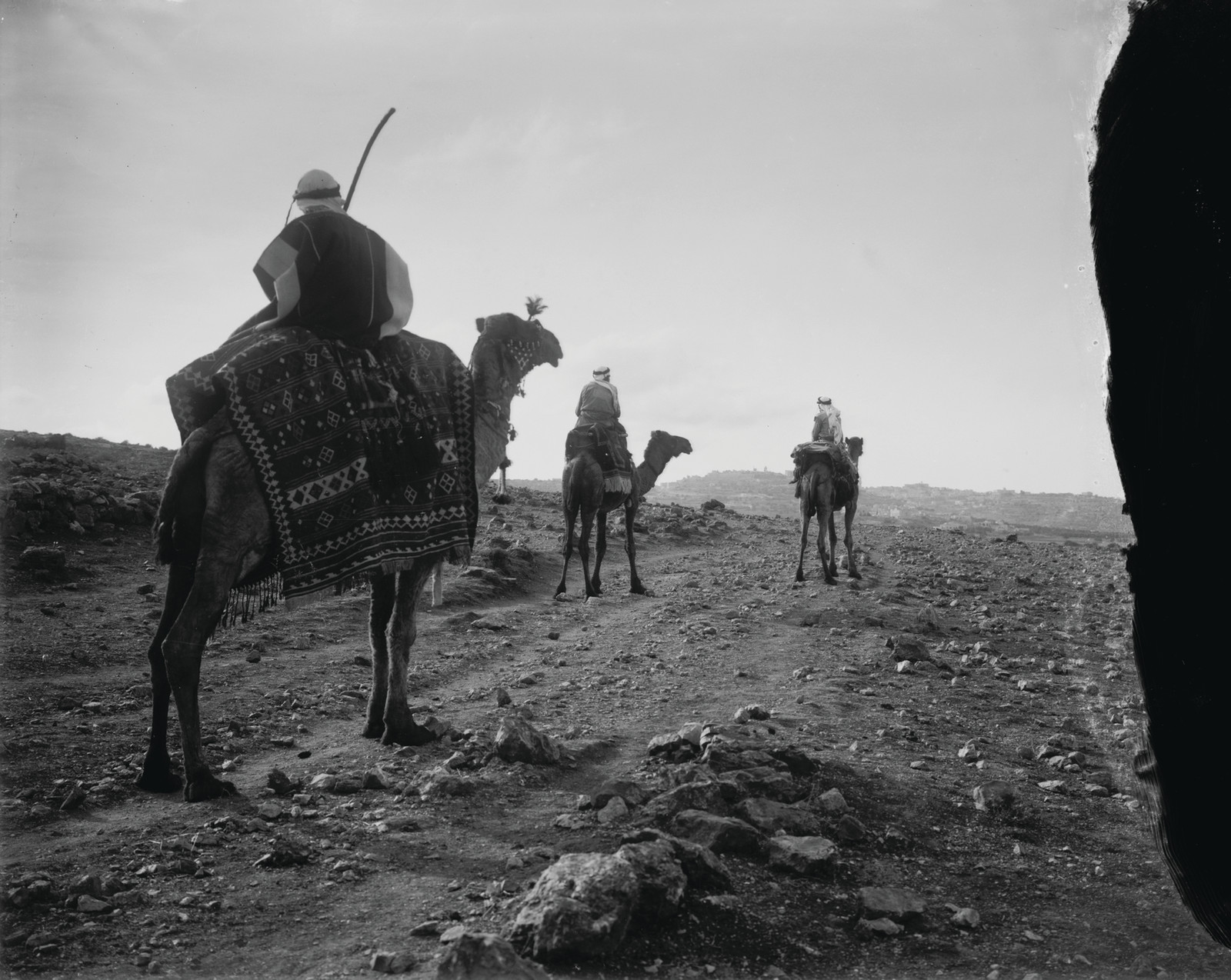 Camel riders on a rocky desert track — historic image