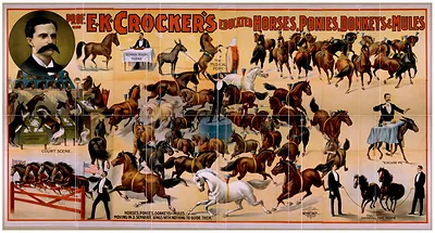 Prof. E.K. Crocker's Educated Horses, Ponies, Donkeys & Mules