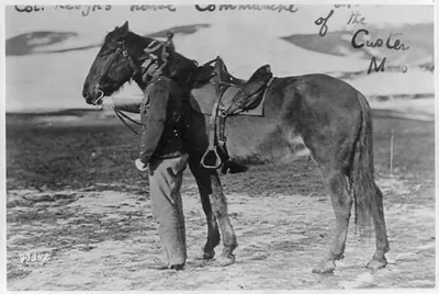 Col. Keogh's horse, Comanche, sole survivor of the Custer massacre - This horse was ridden by Col. Keogh at the battle of Little Big Horn, June 25, 1876