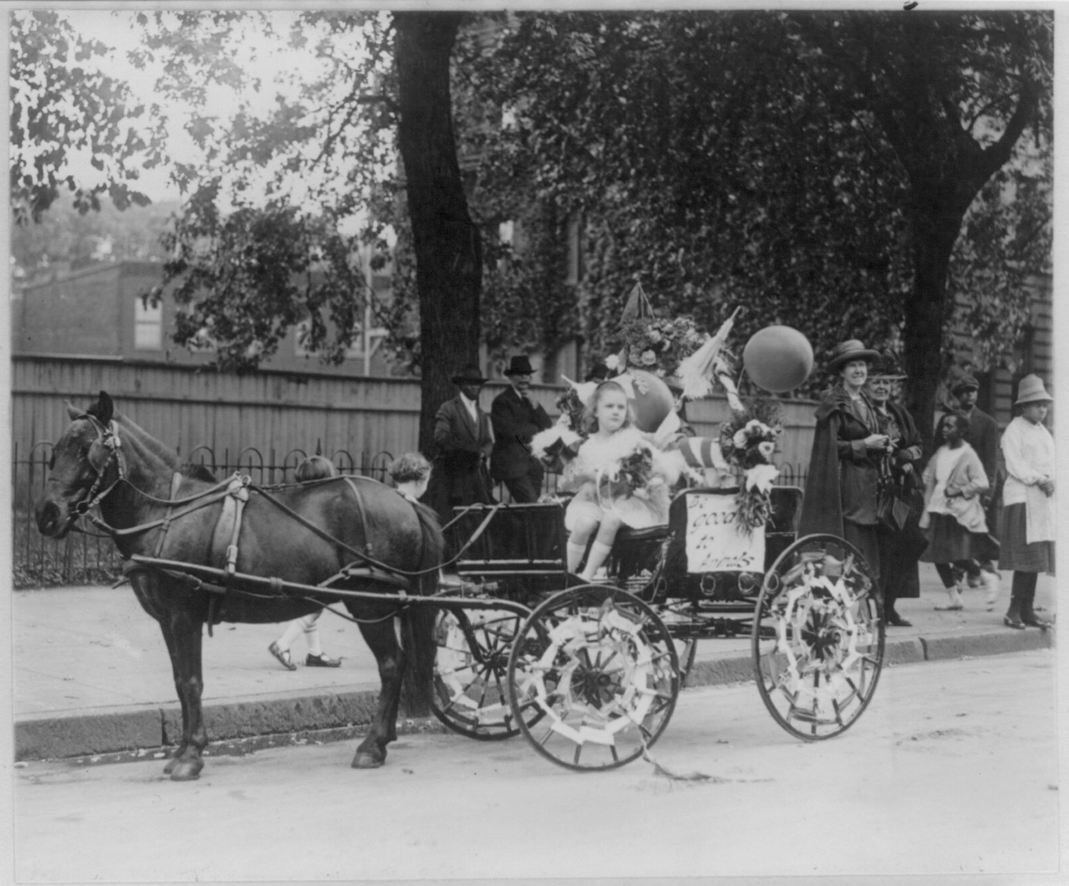 Animal parade in Washington, D.C., May 13, 1921, 1921 May 13. — historic photograph