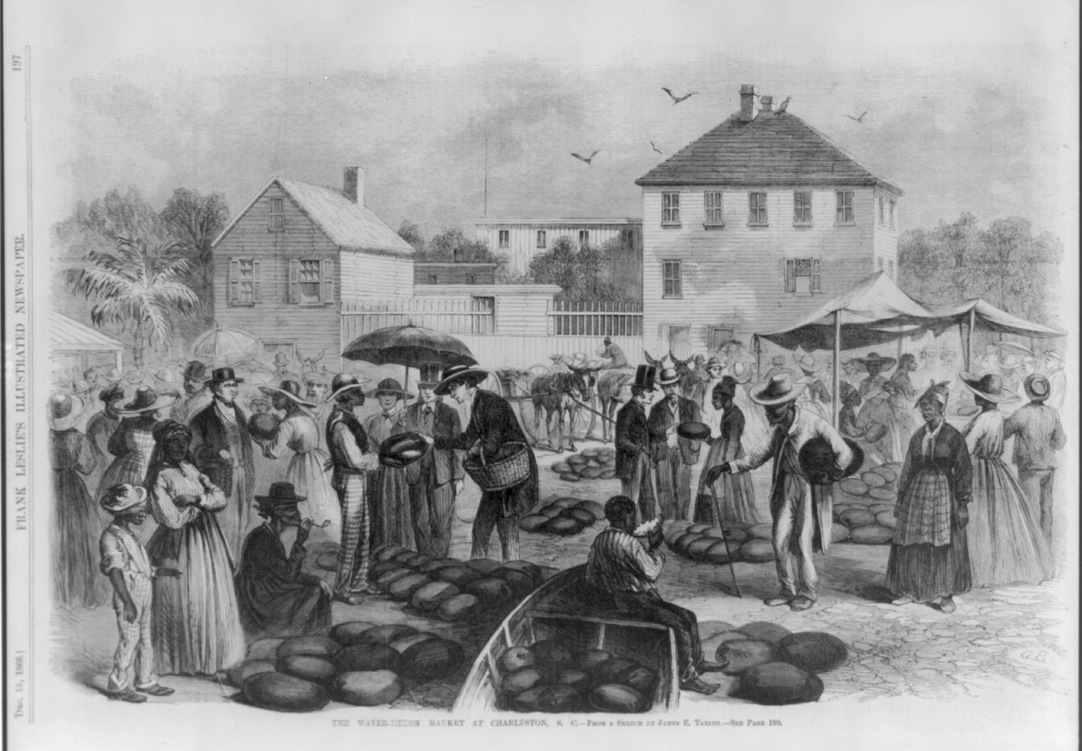 The watermelon market at Charleston, S.C., 1866 — antique engraving