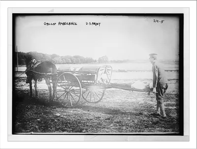 Horse drawn Gallop ambulance, U.S. Army
