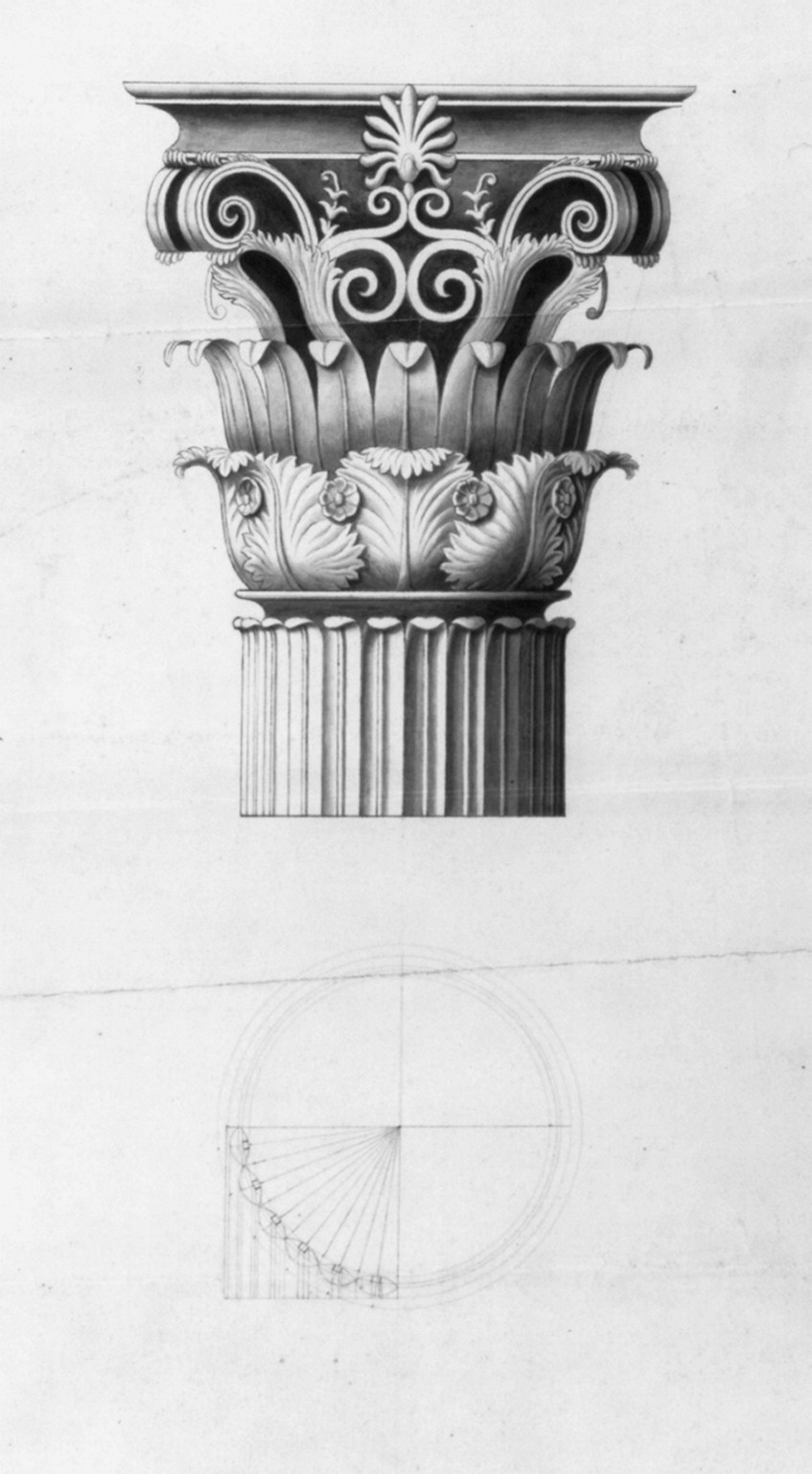 [United States Capitol, Washington, D.C. Column capital variation with tobacco], [between 1819 and 1828] — historic drawing
