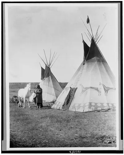 Blackfoot tipis