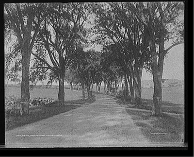 Avenue, Stage Fort Park, Gloucester, Mass.