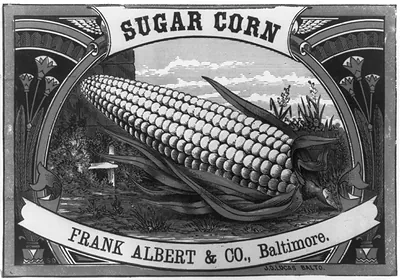 Sugar corn, Frank Albert & Co., Baltimore