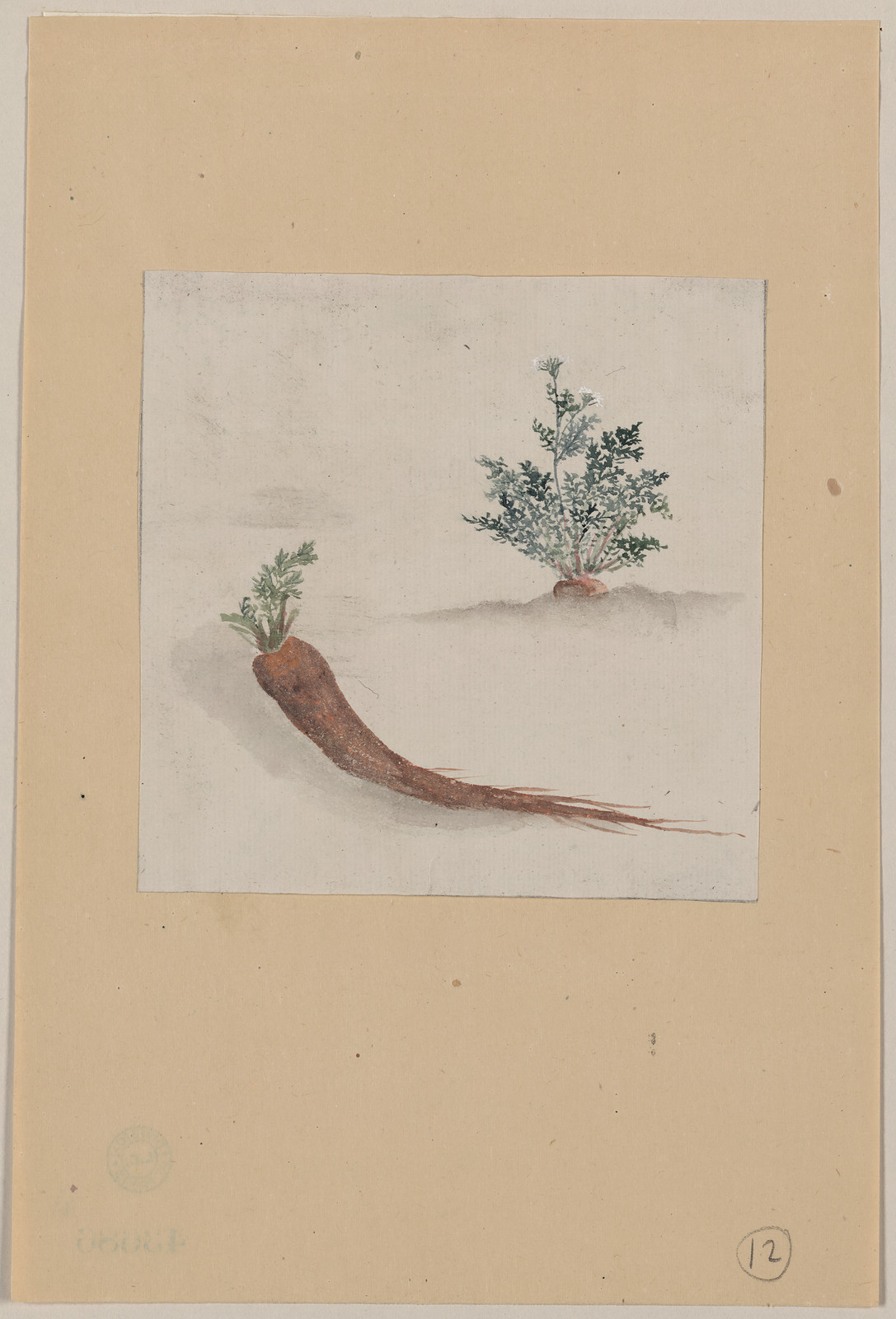 [Japanese drawing], 1750 — historic drawing