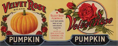 Collection of old canning and crate labels