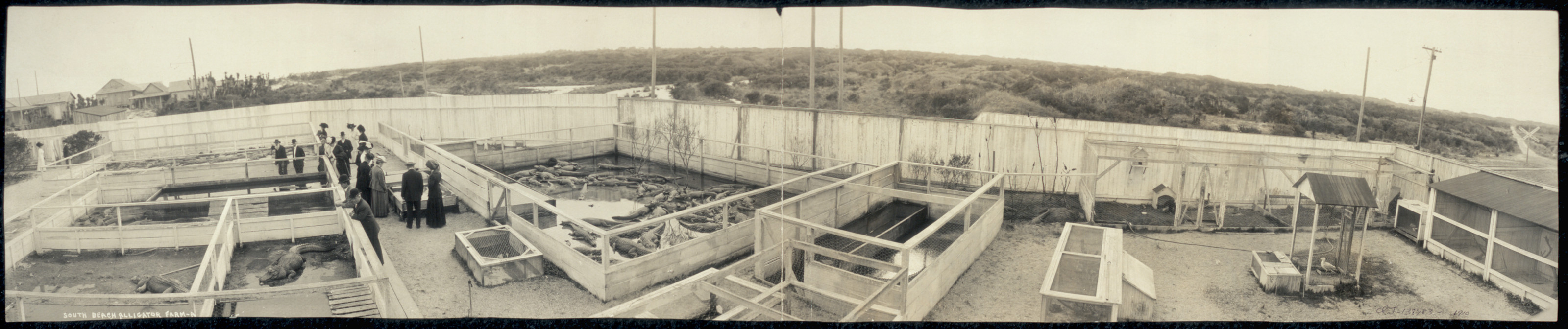 Panoramic view of concrete ponds with onlookers — historic image