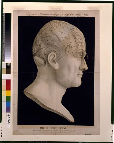 Dr. Spurzheim--divisions of the organs of phrenology marked externally