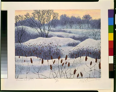Sumac and snow / G. Mortensen.