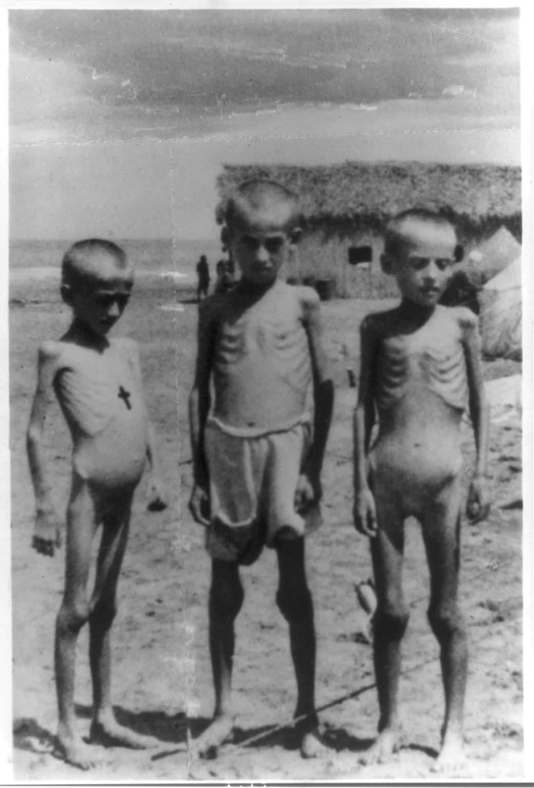 This is how Polish children look when they arrive in Iran, ca.1942. — historic photograph