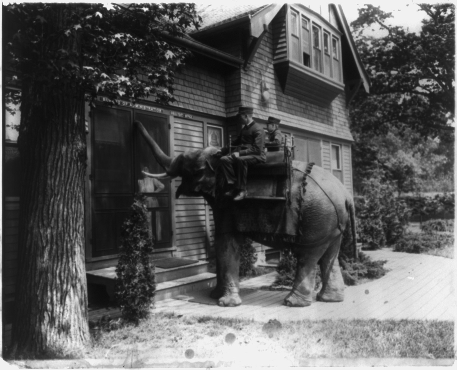 Bronx Zoo?, New York City, [no date recorded on caption card] — historic photograph