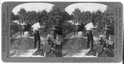 [Picture story in 4 stereoscopic frames: boy & girl drive off in buggy]