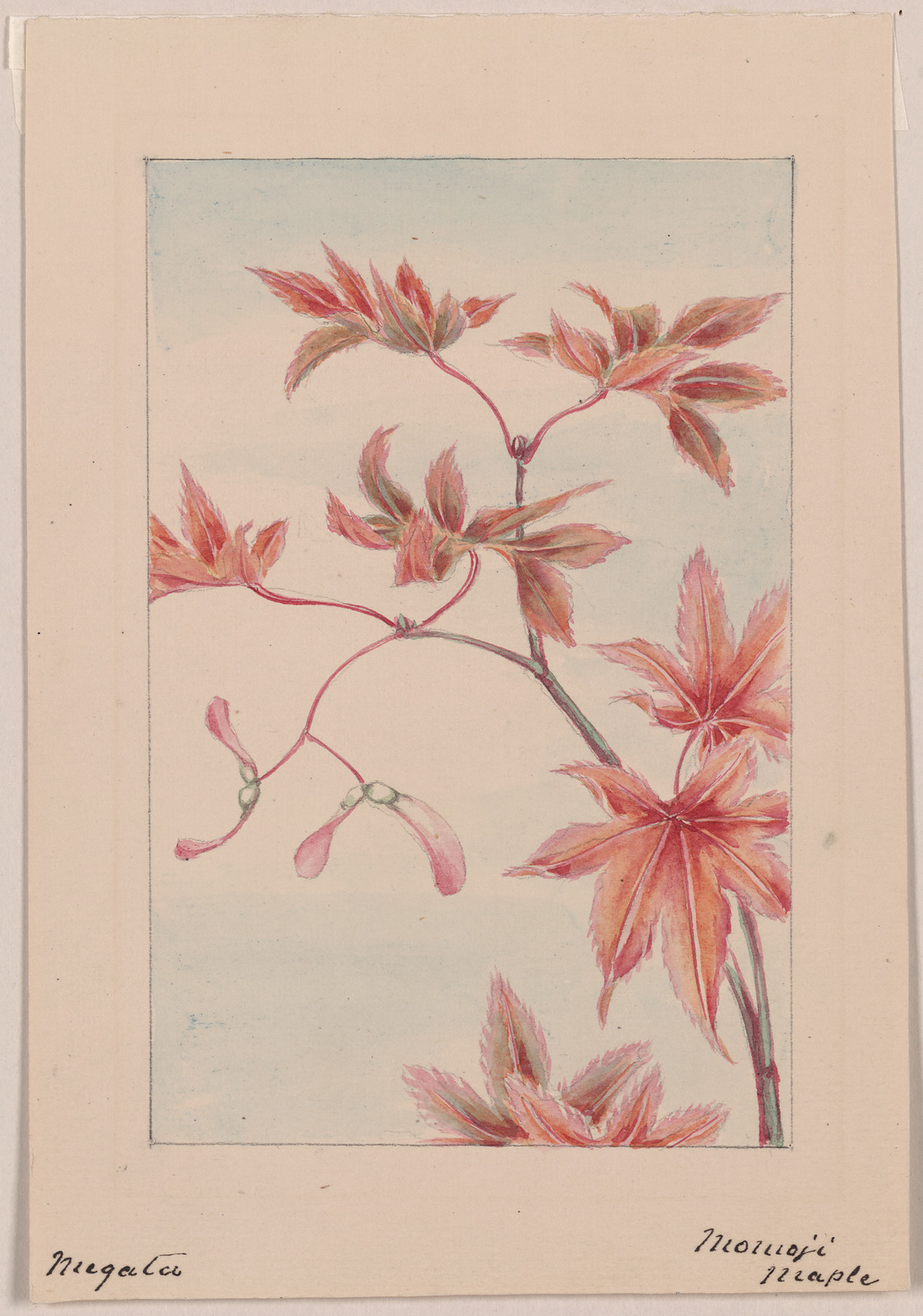 [Japanese drawing], 1750 — historic drawing