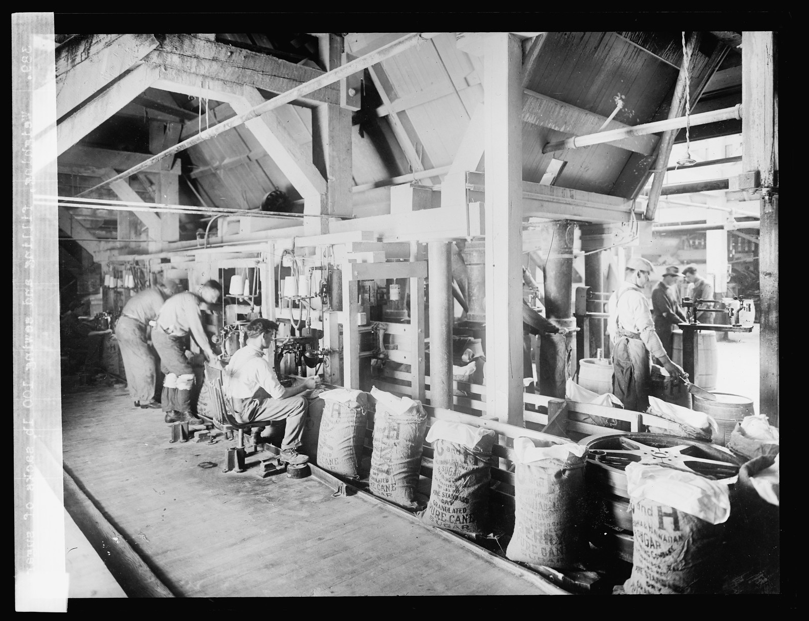 Weighing, filling and sewing 100 lb. sacks of sugar, [between 1910 and 1920] — historic photograph