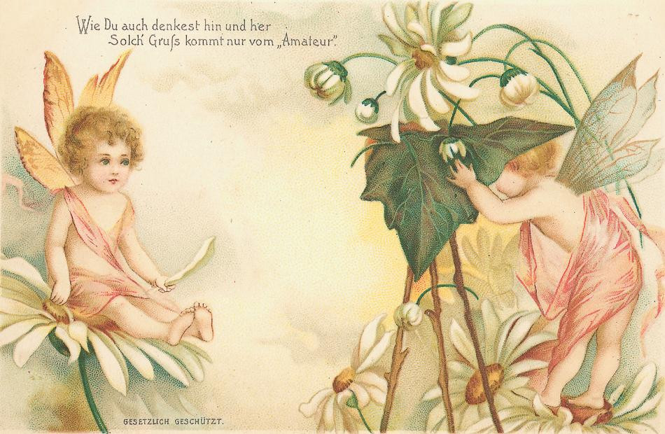Fairies with German verse postcard: "Solch Gruss kommt nur vom Amateur — vintage postcard