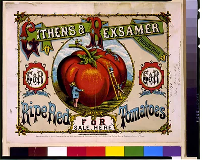 Ripe red tomatoes for sale here