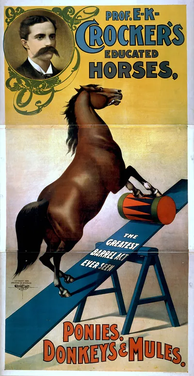 Prof. E.K. Crockers educated horses ponies donkeys & mules