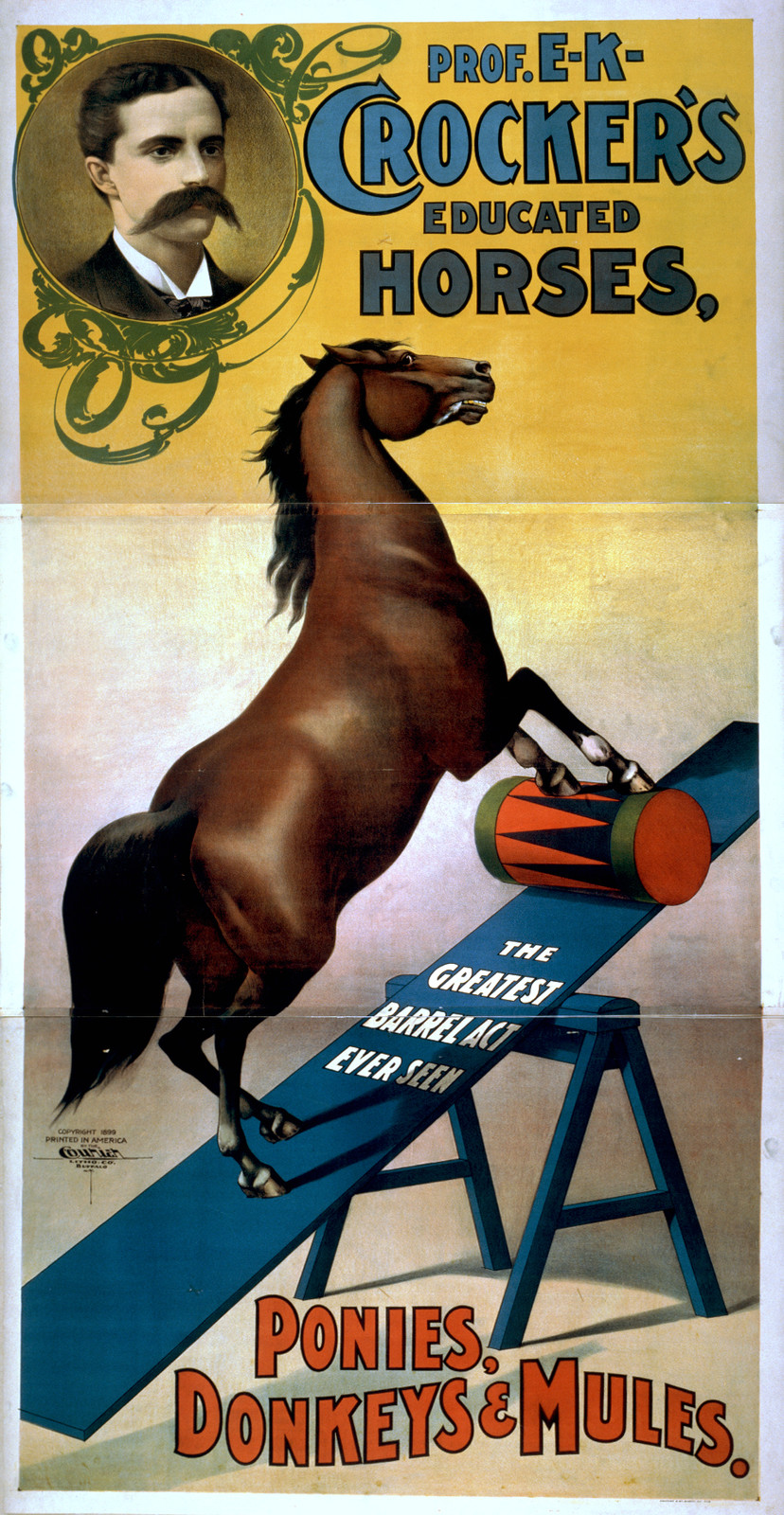 Prof. E.K. Crockers educated horses ponies donkeys & mules, 1899 — vintage poster