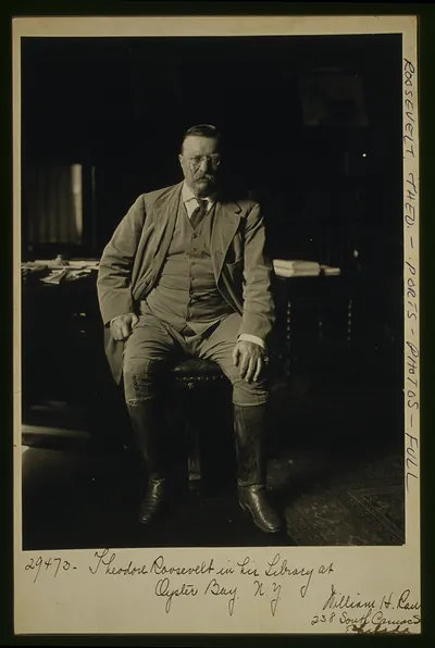 Theodore Roosevelt in his library at Oyster Bay N.Y. / William H. Rau, Philada.
