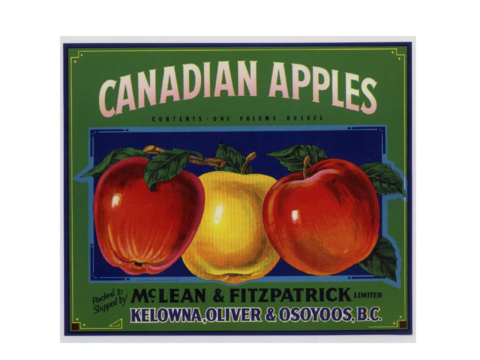 Canadian Apples crate label, McLean & Fitzpatrick, Kelowna, Oliver & Osoyoos, B.C. — historic image