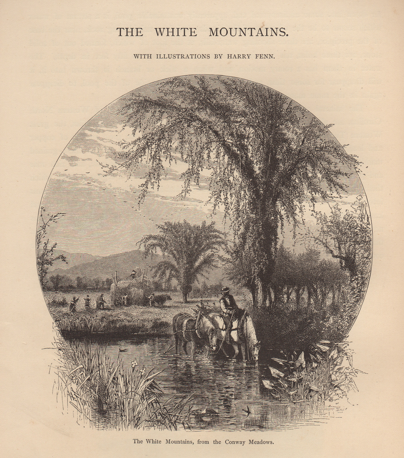 The White Mountains, from the Conway Meadows — historic image